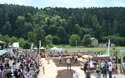 Weltmilchtag 2026